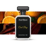 COOL BOY inspired by Azzaro Wanted 50ml