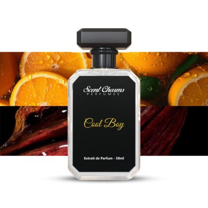 COOL BOY inspired by Azzaro Wanted 50ml