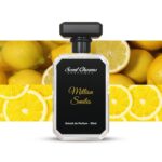 Million Smiles inspired by Chanel Chance 50ml